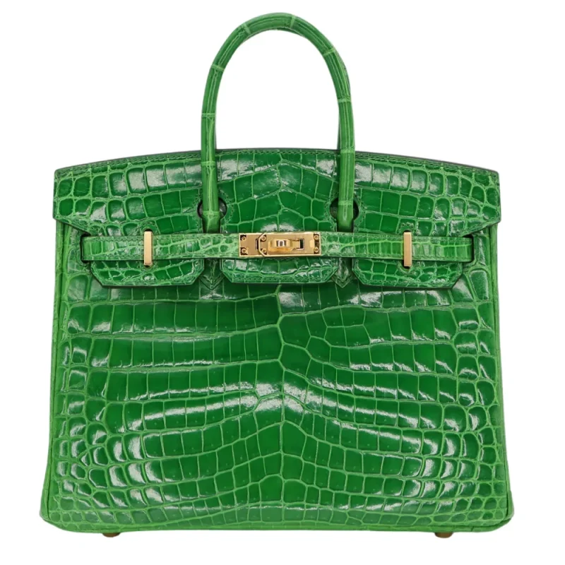 Best Replica Hermes - Birkin 25 Cactus Shiny Niloticus Crocodile