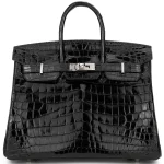 Hermès Birkin 25 Croc Black Palladium HW - High-End Inspired