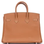 Hermès Birkin 25 Togo Gold Palladium HW - 11 Replica Back