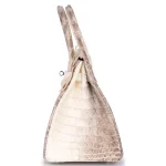 Hermès Birkin 30 Himalayan Blanc Crocodile Niloticus White Gold And Diamond - High-End Inspired Side1