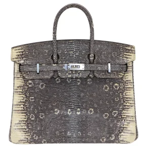 Mirror Quality Hermès Replicas - Birkin 25 Ombre Lizard Palladium